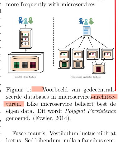 Resultaat na oplossen overfull en underfull hbox waarschuwingen.