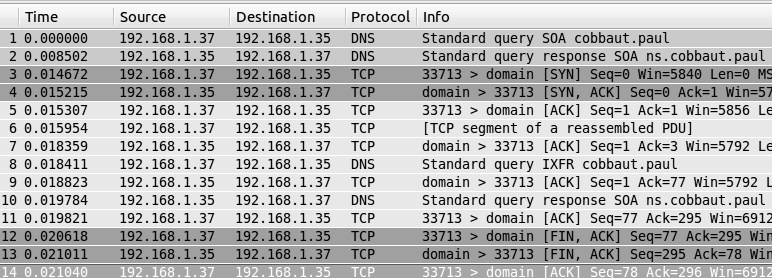 A zone transfer captured by Wireshark.