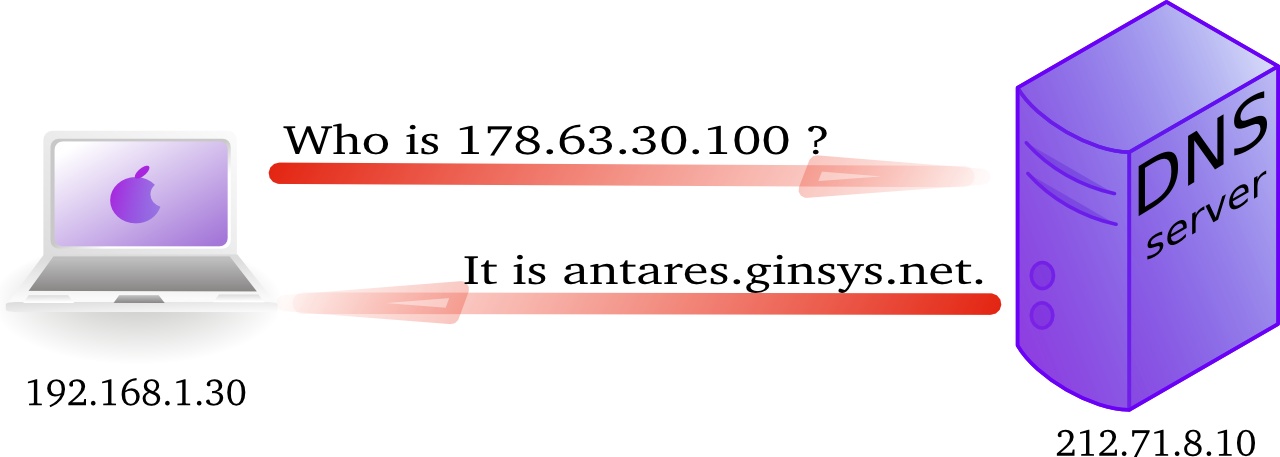 Simplified depiction of a reverse DNS lookup query.