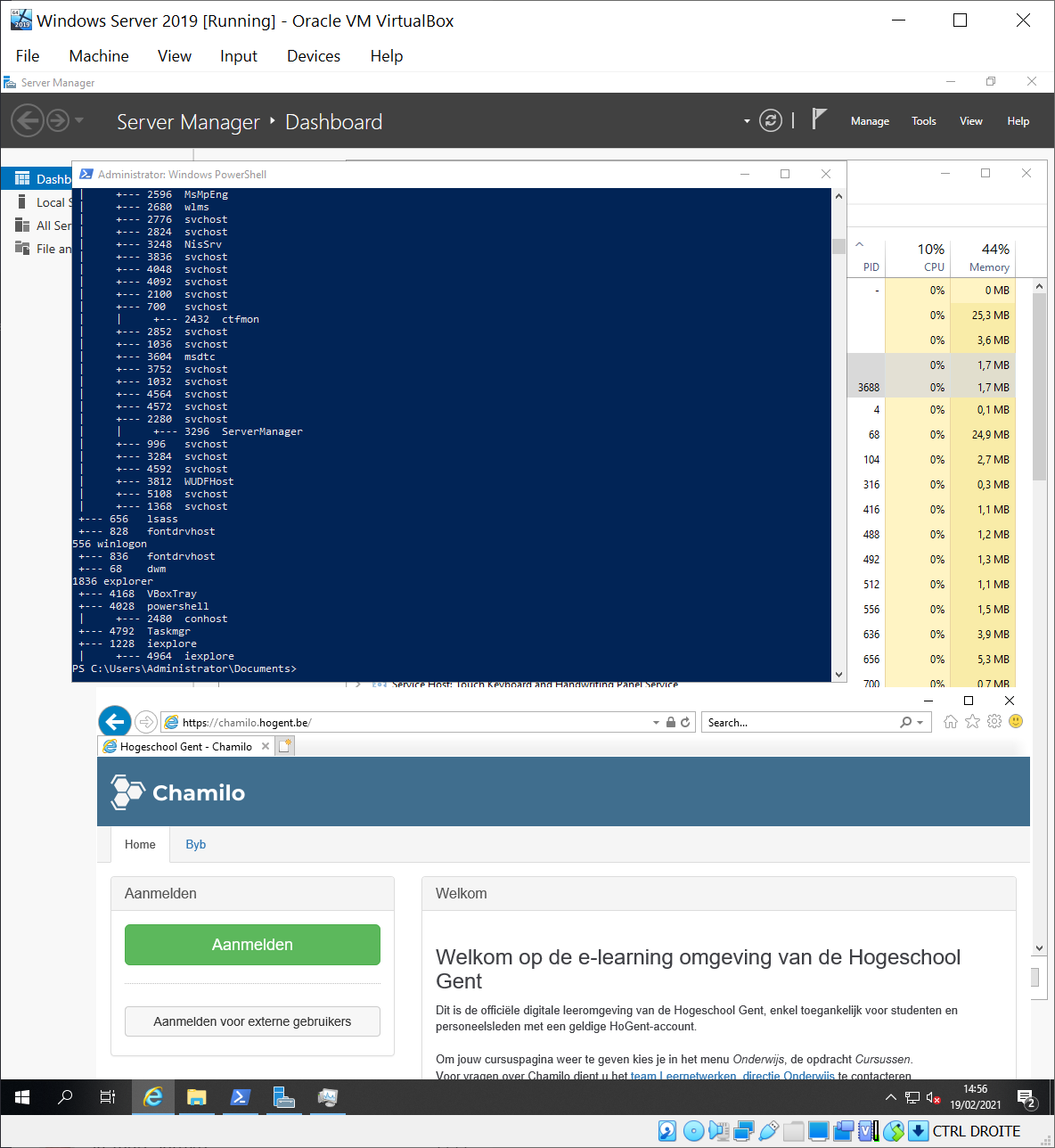 Overzicht processen als boomstructuur na nieuw eigen proces